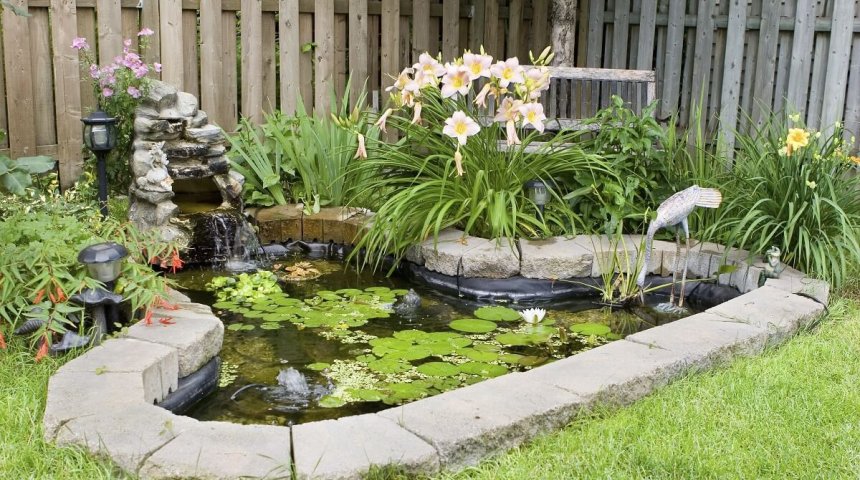 12 современных садовых прудов для двора